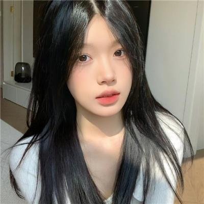 没人瞭波斯猫